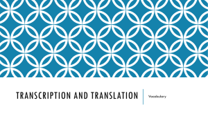 Transcription and Translation