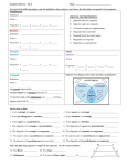 Review Worksheet