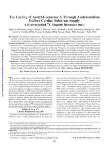 The Cycling of Acetyl-Coenzyme A Through Acetylcarnitine Buffers