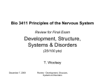Bio 3411 Principles of the Nervous System Review for Final Exam