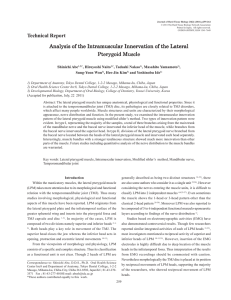 Analysis of the Intramuscular Innervation of the Lateral Pterygoid