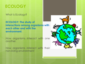 ECOLOGY