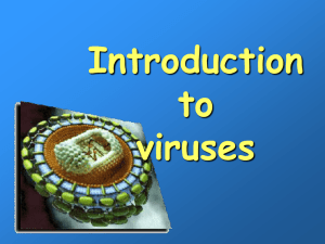 PowerPoint Presentation - Introduction to viruses