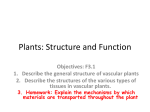 Plants: Structure and Function
