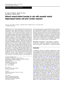 Natural reward-related learning in rats with neonatal ventral