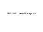 G Protein Linked Receptors