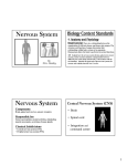 Nervous System Nervous System