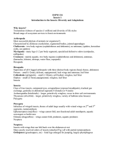 ESPM 134 Insects 1 Introduction to the Insects: Diversity and