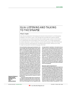 GLIA: LISTENING AND TALKING TO THE SYNAPSE
