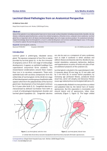 Lacrimal Gland Pathologies from an Anatomical Perspective