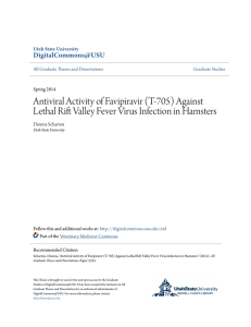 Antiviral Activity of Favipiravir (T-705) Against Lethal Rift Valley