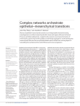 Complex networks orchestrate epithelial–mesenchymal transitions