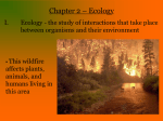 2-Principles of Ecology (notes)