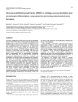 VEGF and endochondral bone formation