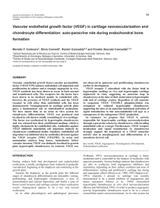 VEGF and endochondral bone formation