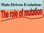 Male Driven Evolution
