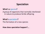 Speciation and types of evolution