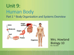 BIOLOGY CLASS NOTES UNIT 9 Human Body_Body Organization