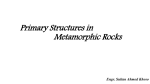 Primary Structures in Metamorphic Rocks