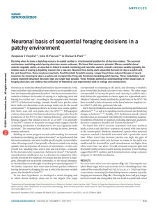 Neuronal basis of sequential foraging decisions in a