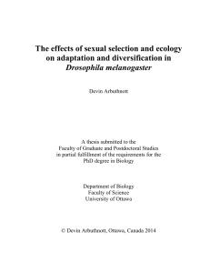 The effects of sexual selection and ecology on adaptation and