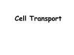 Passive Transport * movement of molecules without using energy