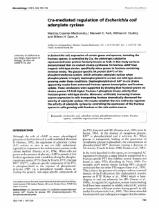 Cra-mediated regulation of Escherichia coli adenylate cyclase