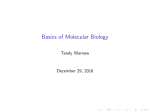 Basics of Molecular Biology