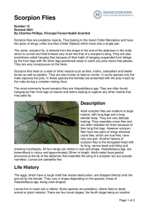 Number 15_Scorpion Flies.doc