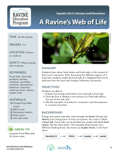 A Ravine`s Web of Life - Park District of Highland Park