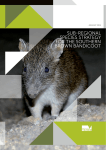 Sub-regional Species Strategy for the Southern Brown Bandicoot