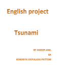 Tsunami - Library Junction