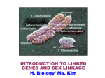 Gene-linkage and Karyotype