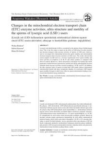 Changes in the mitochondrial electron transport chain (ETC