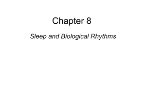 Sleep and Biological Rhythms - University of South Alabama
