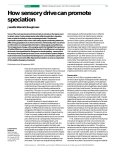 boughman 2002 tree sensory drive and speciation