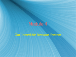 Module 4 - the Brain