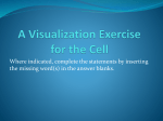Visualization of the Cell Activity