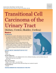 Transitional Cell Carcinoma of the Urinary Tract