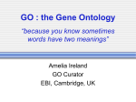 2005-05_GO_aireland - Gene Ontology Consortium