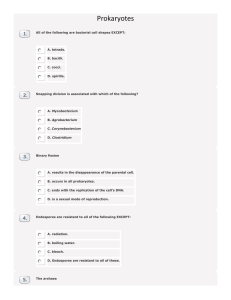 Prokaryotes