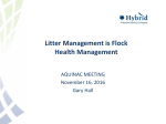Litter Management is Flock Health Management