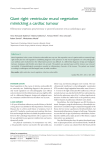 Giant right ventricular mural vegetation mimicking a cardiac tumour