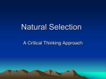 natural selection - OCC