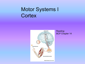 Motor Systems I Cortex