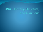 DNA * History, Structure, and Functions