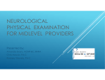 neurological physical examination for midlevel providers
