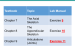 Textbook Topic Lab Manual Chapter 7 The Axial Skeleton Exercise
