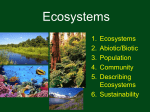 Introducing Ecosystems lecture PPT