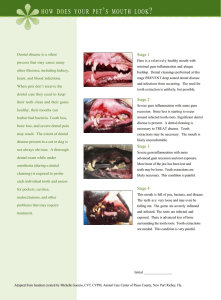 Staging Dental Disease - Eastwood Animal Clinic